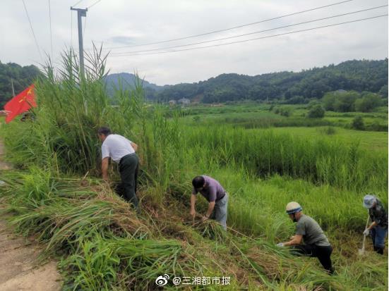 程力專(zhuān)用汽車(chē)股份有限公司